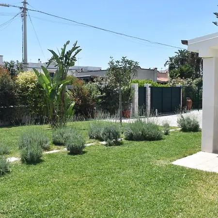 Casa Del Sol Luxury Estate Puglia Willa Leporano